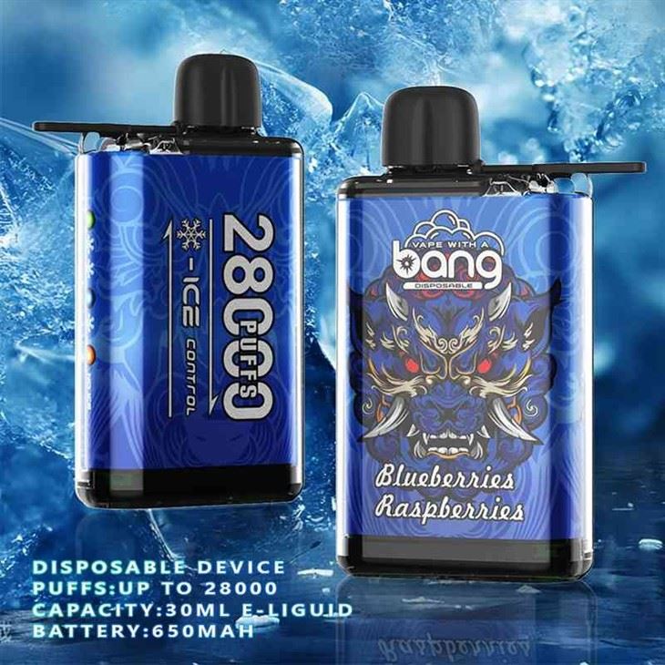 Bang 28000 PUFFS ICE CONTROL 1