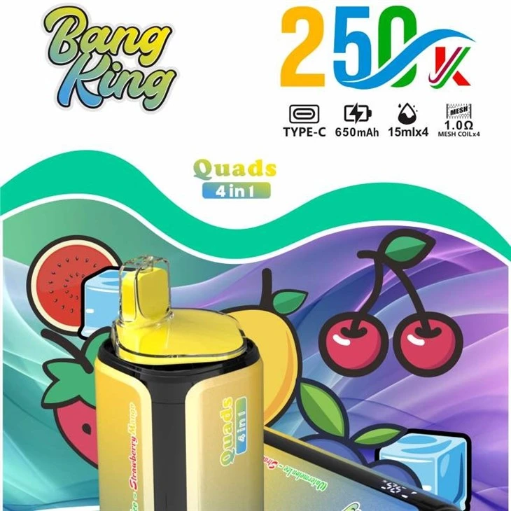 BANG KING Quads 250K factory BANG KING Quads 250K factory