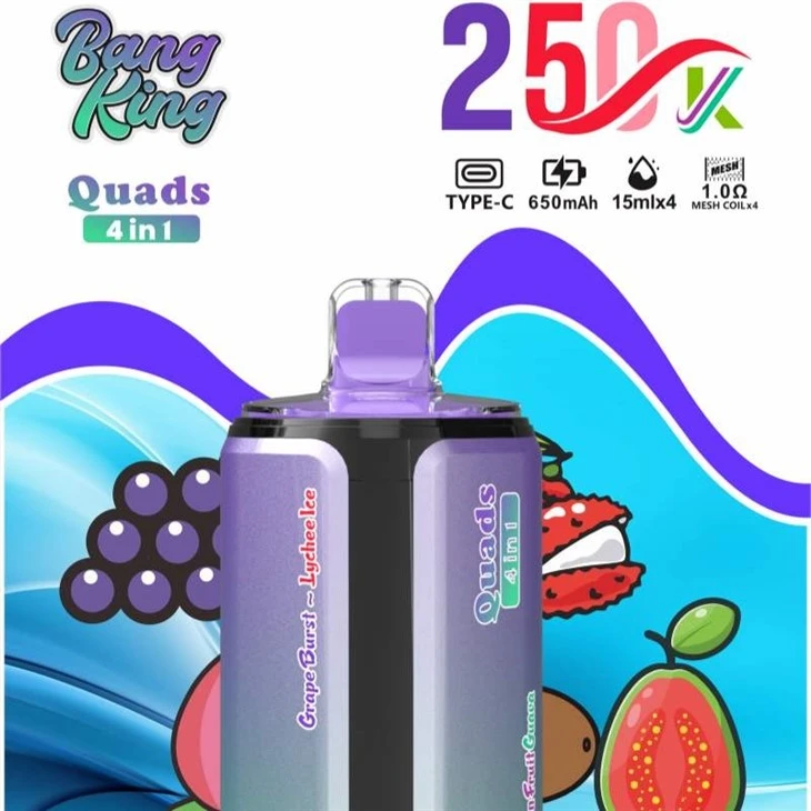 BANG KING Quads 250K factory BANG KING Quads 250K factory