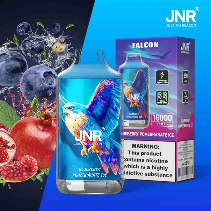2024-Most-Hot-Disposable-Vape-Jnr-Falcon-16000-Puffs-Wholesale-E-Cigarette-Randm-Tornado-Shisha