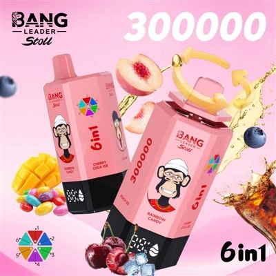 1 台のデバイスが長持ち: Bang Leader 300000 Puffs Vape が長期使用に適している理由-