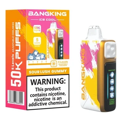 BANGKING ICE COOL 60K 高容量-使い捨て充電式調整可能なアイス電子気化器