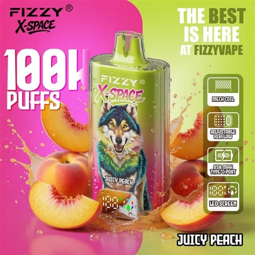 Fizzy X Space 100K: 大容量の使い捨て VAPE の傾向に関する観察-