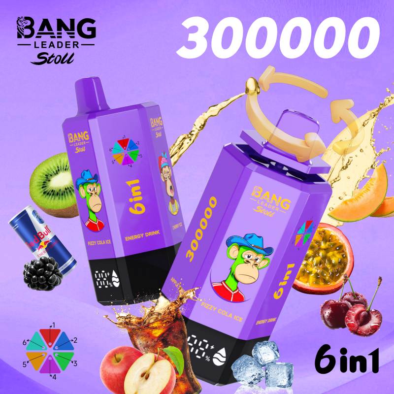 bang leader 300000 23