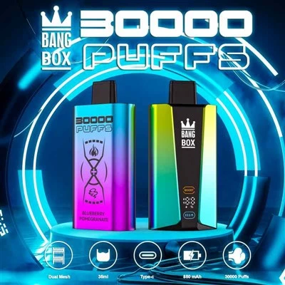 バングボックス30000デュアルフレーバー