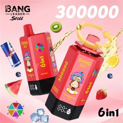 バングリーダー 300K