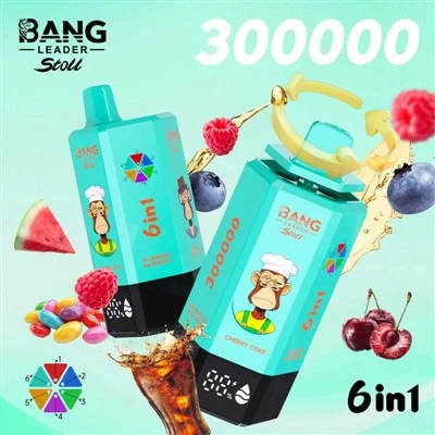 BANG リーダー ストール 300K