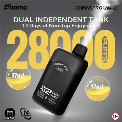Feemo Gemini Pro 28000パフ