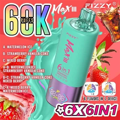 フィジーマックスIII 60k 6 in 1フレーバー