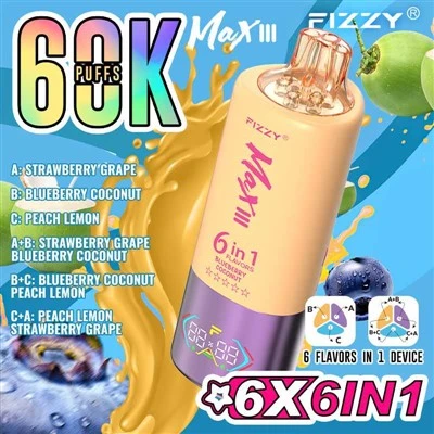 フィジーマックスIII 60k 6 in 1