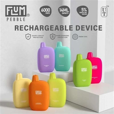 FLUM ペブル 6000パフ