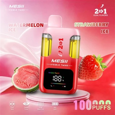 MESII ビジブル ツイン 100K