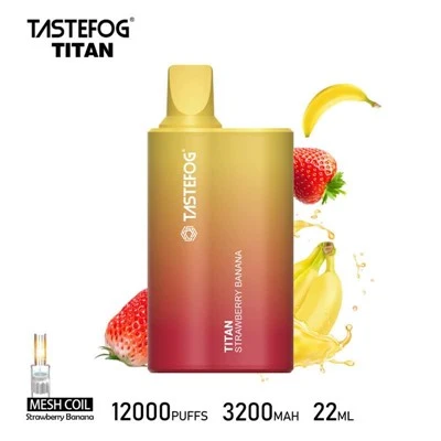 テイストフォグ タイタン 12000